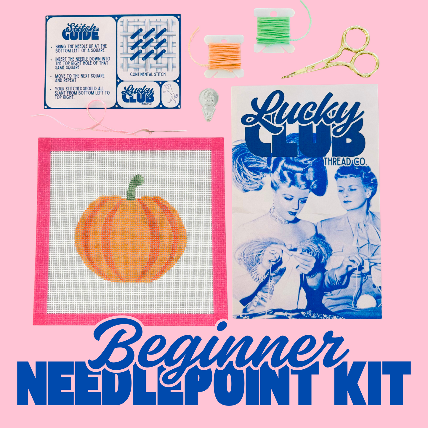 Apple Beginner Needlepoint Kit